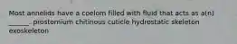 Most annelids have a coelom filled with fluid that acts as a(n) ______. prostomium chitinous cuticle hydrostatic skeleton exoskeleton