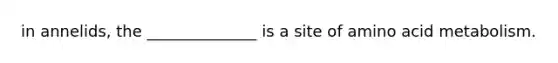 in annelids, the ______________ is a site of amino acid metabolism.