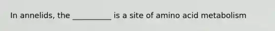 In annelids, the __________ is a site of amino acid metabolism