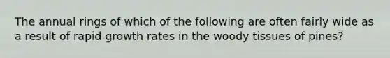 The annual rings of which of the following are often fairly wide as a result of rapid growth rates in the woody tissues of pines?