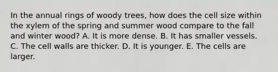 In the annual rings of woody trees, how does the cell size within the xylem of the spring and summer wood compare to the fall and winter wood? A. It is more dense. B. It has smaller vessels. C. The cell walls are thicker. D. It is younger. E. The cells are larger.