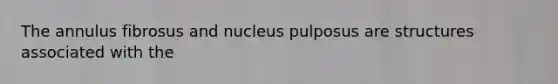 The annulus fibrosus and nucleus pulposus are structures associated with the