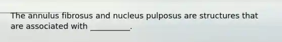 The annulus fibrosus and nucleus pulposus are structures that are associated with __________.