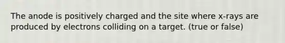 The anode is positively charged and the site where x-rays are produced by electrons colliding on a target. (true or false)