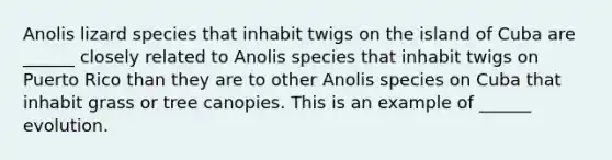 Anolis lizard species that inhabit twigs on the island of Cuba are ______ closely related to Anolis species that inhabit twigs on Puerto Rico than they are to other Anolis species on Cuba that inhabit grass or tree canopies. This is an example of ______ evolution.