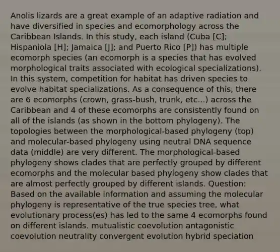 Anolis lizards are a great example of an adaptive radiation and have diversified in species and ecomorphology across the Caribbean Islands. In this study, each island (Cuba [C]; Hispaniola [H]; Jamaica [J]; and Puerto Rico [P]) has multiple ecomorph species (an ecomorph is a species that has evolved morphological traits associated with ecological specializations). In this system, competition for habitat has driven species to evolve habitat specializations. As a consequence of this, there are 6 ecomorphs (crown, grass-bush, trunk, etc...) across the Caribbean and 4 of these ecomorphs are consistently found on all of the islands (as shown in the bottom phylogeny). The topologies between the morphological-based phylogeny (top) and molecular-based phylogeny using neutral DNA sequence data (middle) are very different. The morphological-based phylogeny shows clades that are perfectly grouped by different ecomorphs and the molecular based phylogeny show clades that are almost perfectly grouped by different islands. Question: Based on the available information and assuming the molecular phylogeny is representative of the true species tree, what evolutionary process(es) has led to the same 4 ecomorphs found on different islands. mutualistic coevolution antagonistic coevolution neutrality convergent evolution hybrid speciation