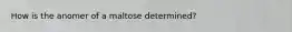 How is the anomer of a maltose determined?