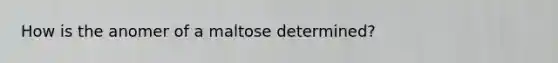 How is the anomer of a maltose determined?