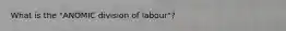 What is the "ANOMIC division of labour"?