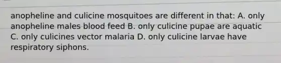 anopheline and culicine mosquitoes are different in that: A. only anopheline males blood feed B. only culicine pupae are aquatic C. only culicines vector malaria D. only culicine larvae have respiratory siphons.