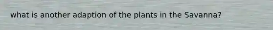 what is another adaption of the plants in the Savanna?