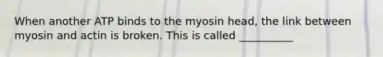 When another ATP binds to the myosin head, the link between myosin and actin is broken. This is called __________