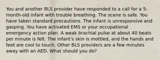 You and another BLS provider have responded to a call for a 5-month-old infant with trouble breathing. The scene is safe. You have taken standard precautions. The infant is unresponsive and gasping. You have activated EMS or your occupational emergency action plan. A weak brachial pulse at about 40 beats per minute is felt. The infant's skin is mottled, and the hands and feet are cool to touch. Other BLS providers are a few minutes away with an AED. What should you do?