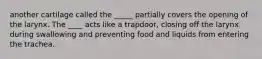 another cartilage called the _____ partially covers the opening of the larynx. The ____ acts like a trapdoor, closing off the larynx during swallowing and preventing food and liquids from entering the trachea.