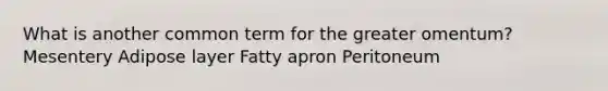 What is another common term for the greater omentum? Mesentery Adipose layer Fatty apron Peritoneum