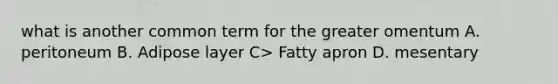 what is another common term for the greater omentum A. peritoneum B. Adipose layer C> Fatty apron D. mesentary