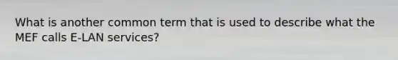 What is another common term that is used to describe what the MEF calls E-LAN services?