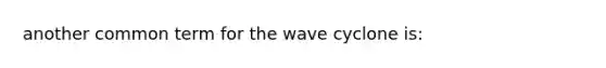 another common term for the wave cyclone is: