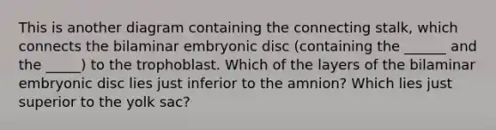 This is another diagram containing the connecting stalk, which connects the bilaminar embryonic disc (containing the ______ and the _____) to the trophoblast. Which of the layers of the bilaminar embryonic disc lies just inferior to the amnion? Which lies just superior to the yolk sac?