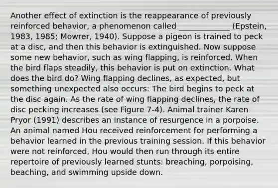 Another effect of extinction is the reappearance of previously reinforced behavior, a phenomenon called _____________ (Epstein, 1983, 1985; Mowrer, 1940). Suppose a pigeon is trained to peck at a disc, and then this behavior is extinguished. Now suppose some new behavior, such as wing flapping, is reinforced. When the bird flaps steadily, this behavior is put on extinction. What does the bird do? Wing flapping declines, as expected, but something unexpected also occurs: The bird begins to peck at the disc again. As the rate of wing flapping declines, the rate of disc pecking increases (see Figure 7-4). Animal trainer Karen Pryor (1991) describes an instance of resurgence in a porpoise. An animal named Hou received reinforcement for performing a behavior learned in the previous training session. If this behavior were not reinforced, Hou would then run through its entire repertoire of previously learned stunts: breaching, porpoising, beaching, and swimming upside down.