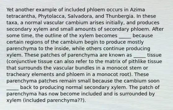 Yet another example of included phloem occurs in Azima tetracantha, Phytolacca, Salvadora, and Thunbergia. In these taxa, a normal vascular cambium arises initially, and produces secondary xylem and small amounts of secondary phloem. After some time, the outline of the xylem becomes _____ because certain regions of the cambium begin to produce mostly parenchyma to the inside, while others continue producing xylem. These patches of parenchyma are known as _____ tissue (conjunctive tissue can also refer to the matrix of pithlike tissue that surrounds the vascular bundles in a monocot stem or tracheary elements and phloem in a monocot root). These parenchyma patches remain small because the cambium soon _____ back to producing normal secondary xylem. The patch of parenchyma has now become included and is surrounded by xylem (included parenchyma??).