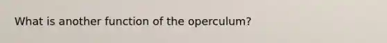 What is another function of the operculum?