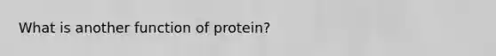 What is another function of protein?