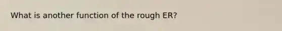 What is another function of the rough ER?