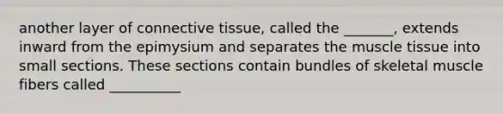 another layer of connective tissue, called the _______, extends inward from the epimysium and separates the muscle tissue into small sections. These sections contain bundles of skeletal muscle fibers called __________