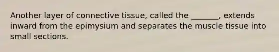 Another layer of connective tissue, called the _______, extends inward from the epimysium and separates the muscle tissue into small sections.