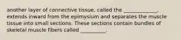 another layer of connective tissue, called the _____________, extends inward from the epimysium and separates the muscle tissue into small sections. These sections contain bundles of skeletal muscle fibers called __________.