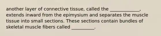 another layer of connective tissue, called the _____________, extends inward from the epimysium and separates the muscle tissue into small sections. These sections contain bundles of skeletal muscle fibers called __________.