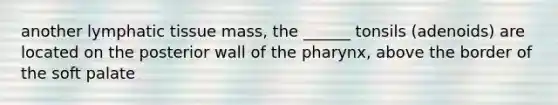 another lymphatic tissue mass, the ______ tonsils (adenoids) are located on the posterior wall of the pharynx, above the border of the soft palate