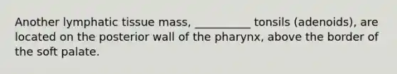 Another lymphatic tissue mass, __________ tonsils (adenoids), are located on the posterior wall of the pharynx, above the border of the soft palate.