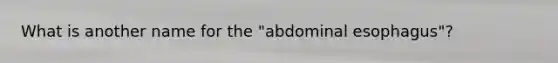 What is another name for the "abdominal esophagus"?