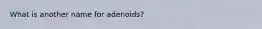 What is another name for adenoids?