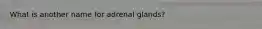 What is another name for adrenal glands?