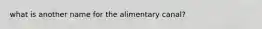 what is another name for the alimentary canal?