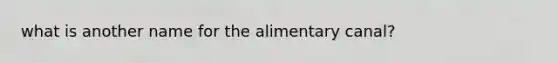 what is another name for the alimentary canal?