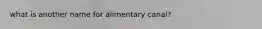 what is another name for alimentary canal?