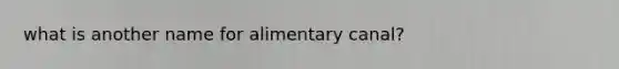 what is another name for alimentary canal?