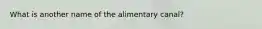 What is another name of the alimentary canal?