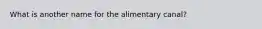 What is another name for the alimentary canal?