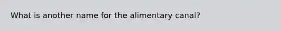 What is another name for the alimentary canal?