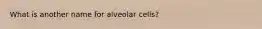 What is another name for alveolar cells?