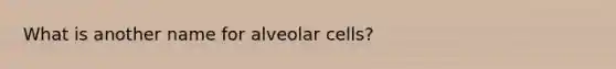 What is another name for alveolar cells?