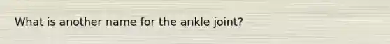 What is another name for the ankle joint?