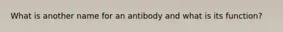 What is another name for an antibody and what is its function?