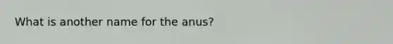 What is another name for the anus?