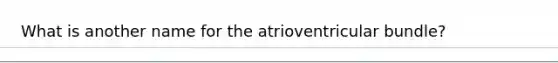 What is another name for the atrioventricular bundle?